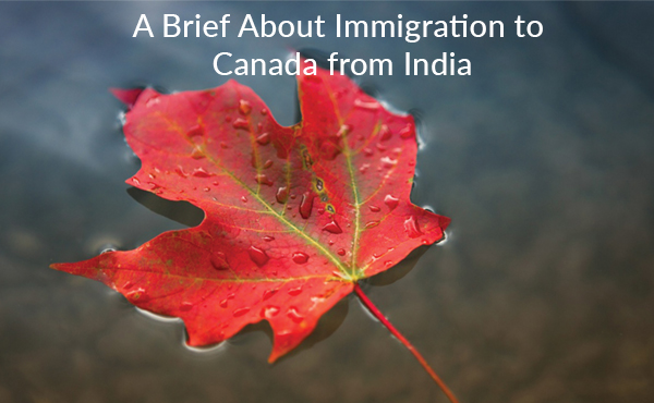 A Brief About Immigration to Canada from India
