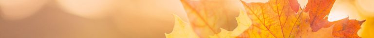 Canada’s Biometric Rules