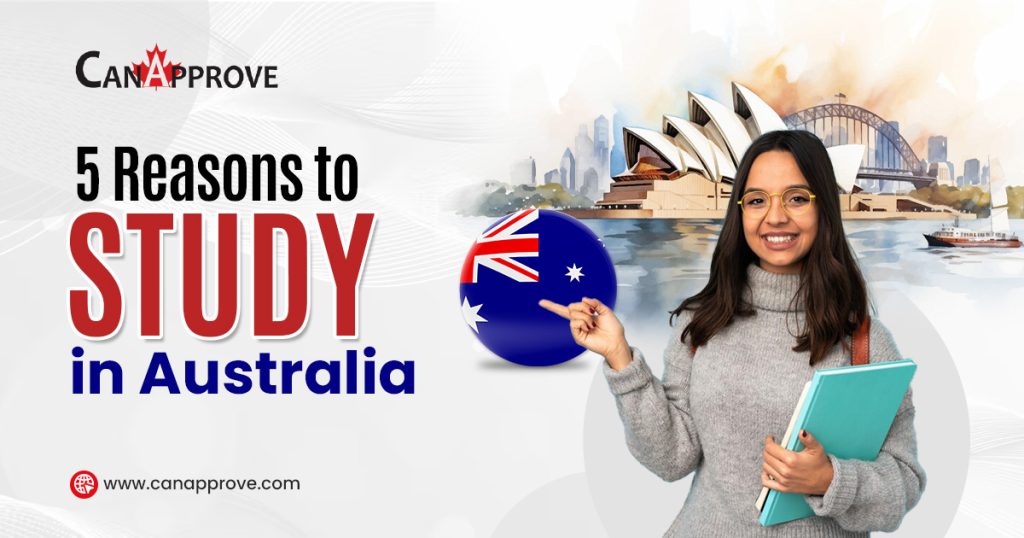 Top 5 Reasons to Study in Australia