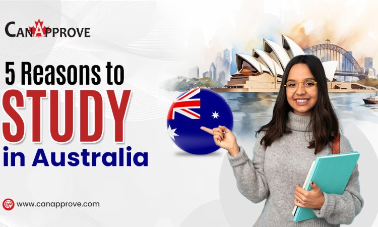 reasons to study in Australia