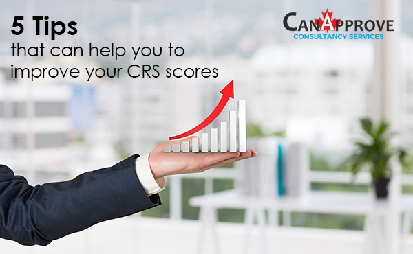 5 Tips that can help you to improve your CRS scores
