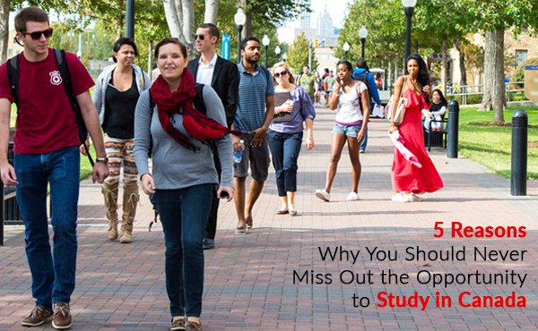 5 Reasons Why You Should Never Miss Out the Opportunity to Study in Canada
