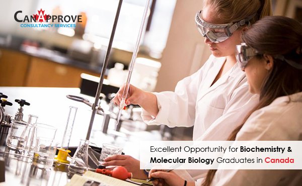 Excellent Opportunity for Biochemistry & Molecular Biology Graduates: