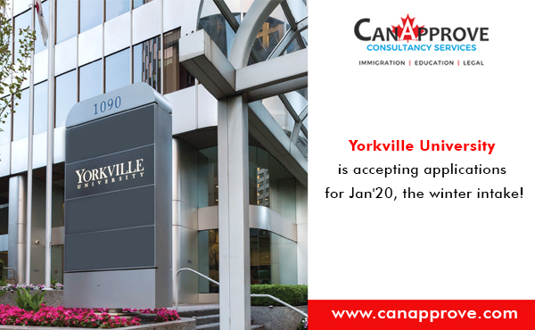 Immigration Consultant | Study Abroad|Yorkville University has again