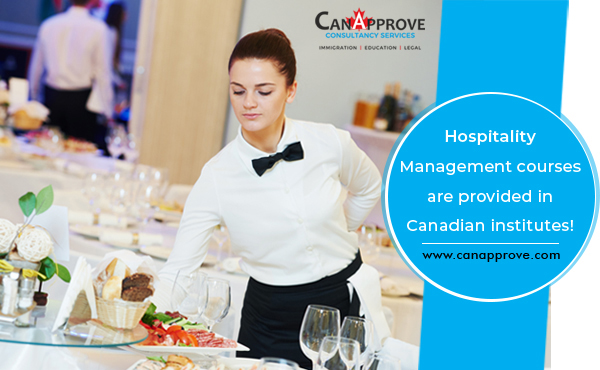 Hospitality and Hotel Operations Management courses