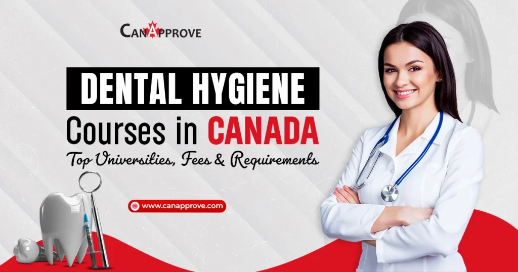 Dental Hygiene Courses in Canada: Top Universities, Fees & Requirements