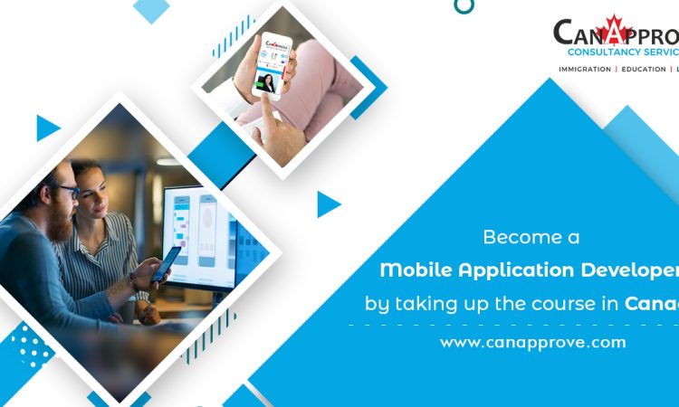 Mobile Application Developer