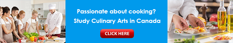 Culinary Art The art of cooking, food preparation and presentation