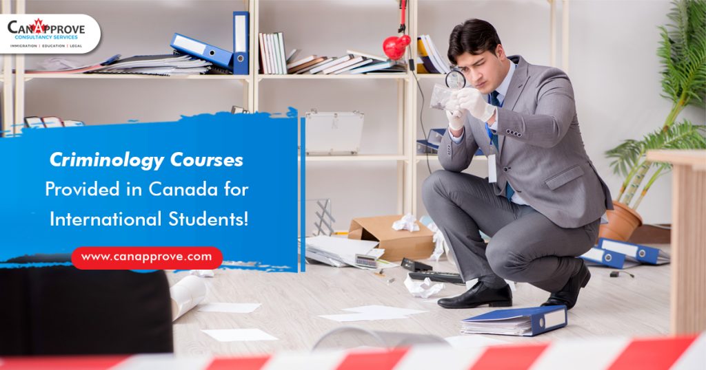 Criminology Courses Provided in Canada for International Students!