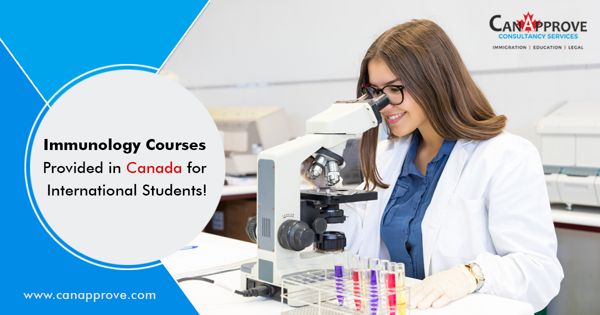 Immunology Courses Provided In Canada For International Students