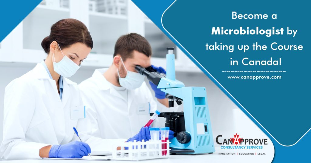 Become a Microbiologist by taking up the Course in Canada!