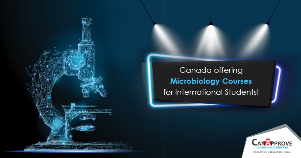 Microbiology Courses in Canada for International Students!