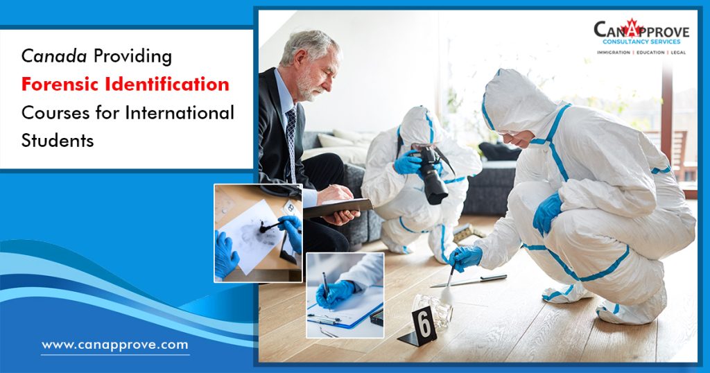 Forensic identification Courses in Canada for international students