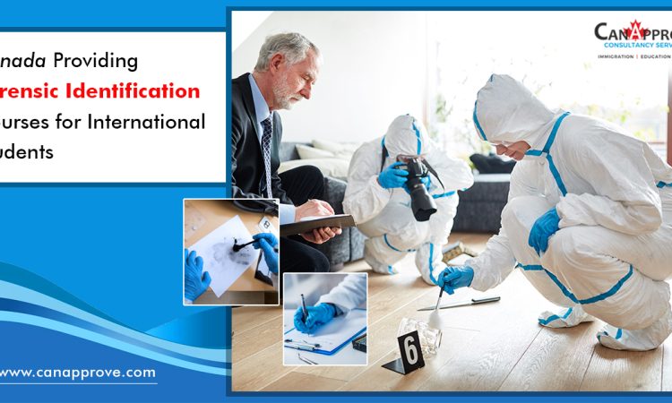 Forensic Identification Courses in Canada Dec 13