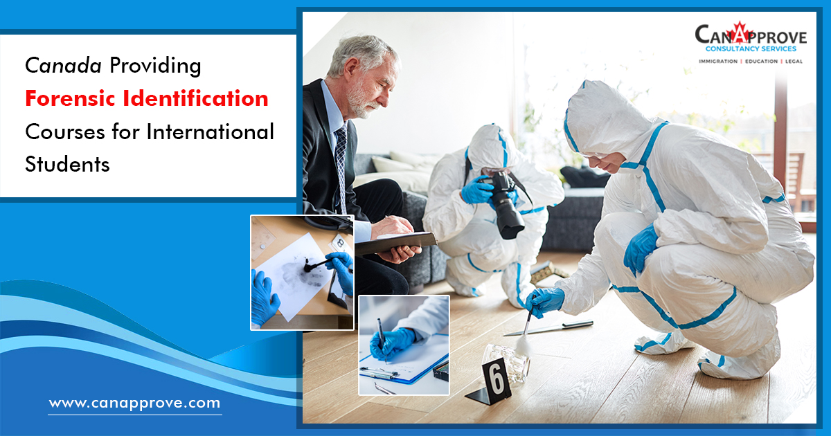 Forensic Identification Courses in Canada Dec 13