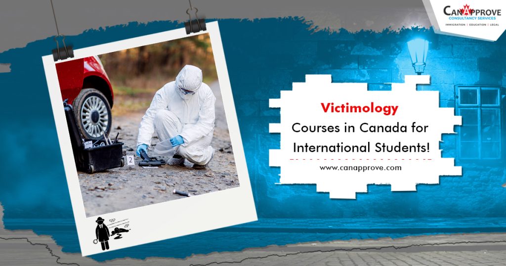 Victimology Courses in Canada for International Students!