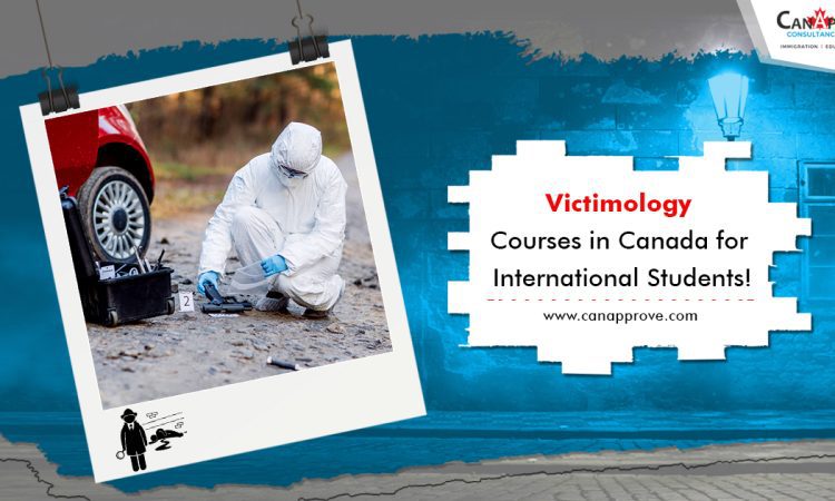 Victimology Courses in Canada Dec 11