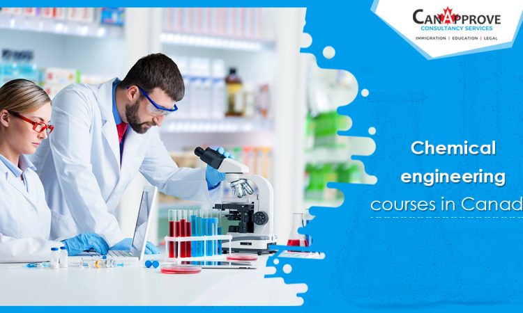 chemical engineering courses Dec 17