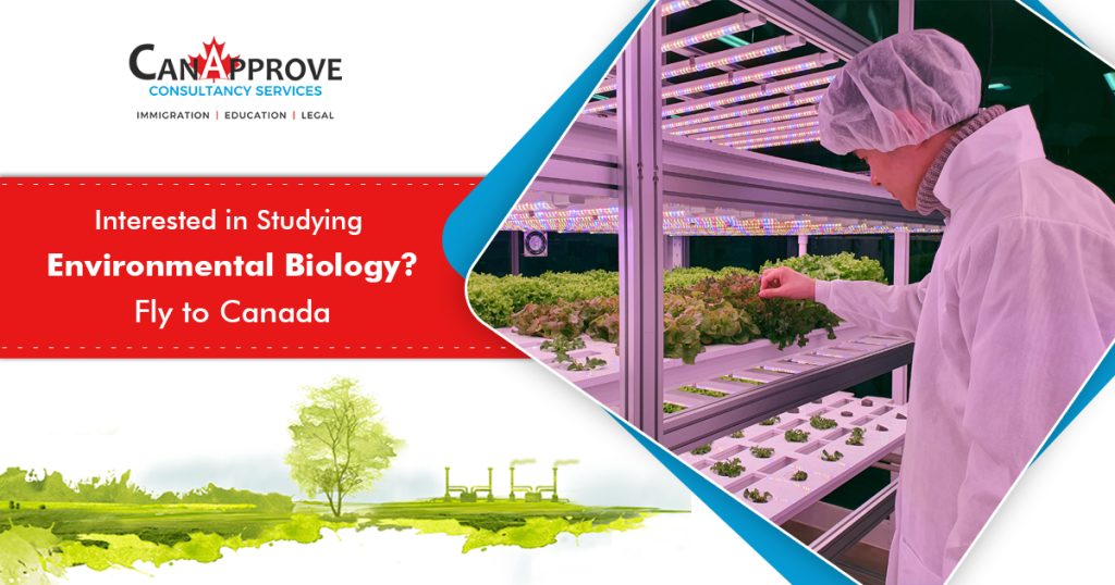 Interested in Studying Environmental Biology? Fly to Canada