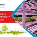 Interested in Studying Environmental Biology? Fly to Canada