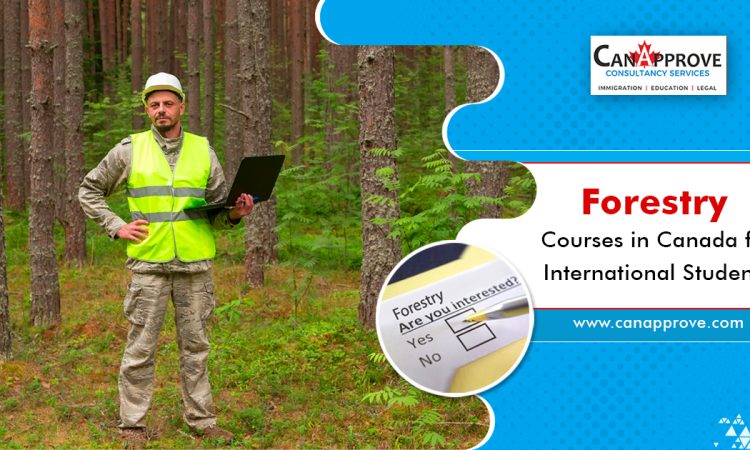 Forestry Courses in Canada Jan 07