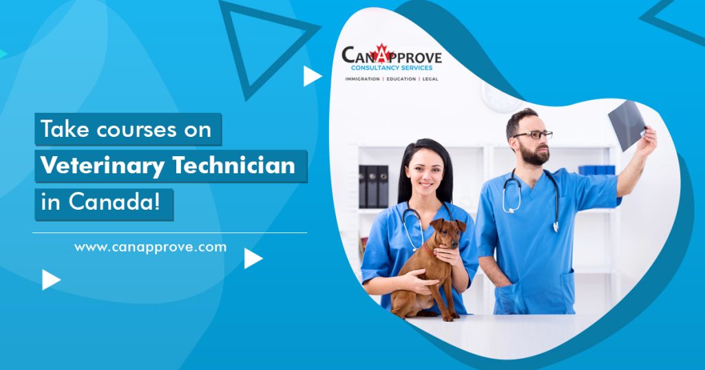 Take courses on Veterinary Technician in Canada!