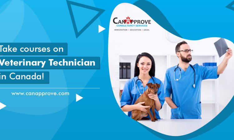 Veterinary Technican Courses in Canada Jan 10