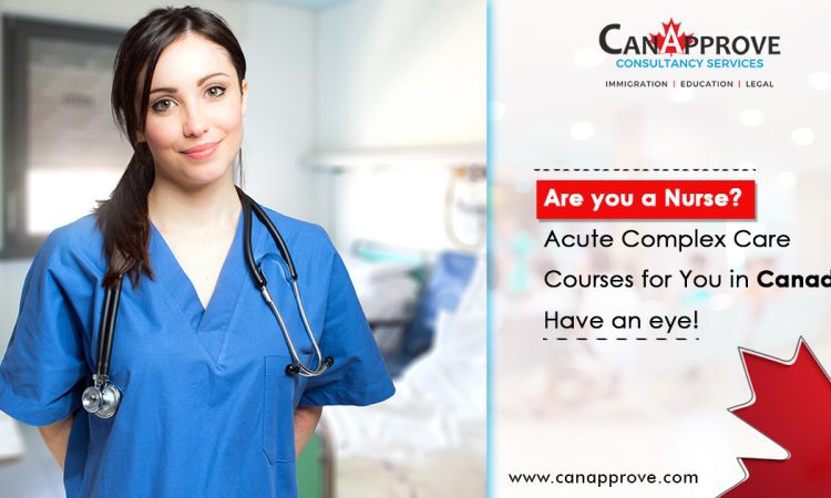 Acute complex care and nursing