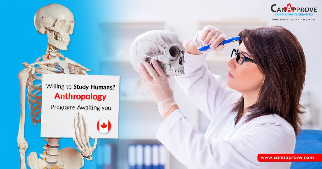 Willing to study humans? Anthropology programs awaiting you!