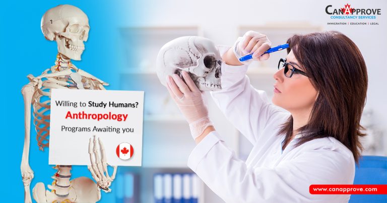 Anthropology