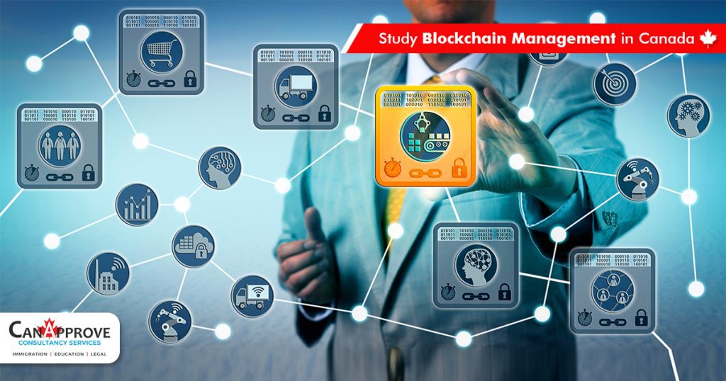 Study Blockchain Management in Canada!