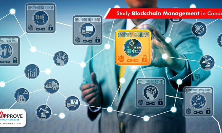 Block Study Blockchain Management in CanadaManagement
