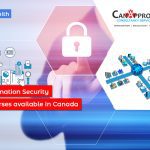 Business & Information Security Architecture courses available in Canada