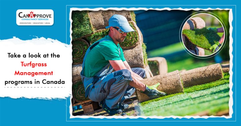 Turfgrass Management