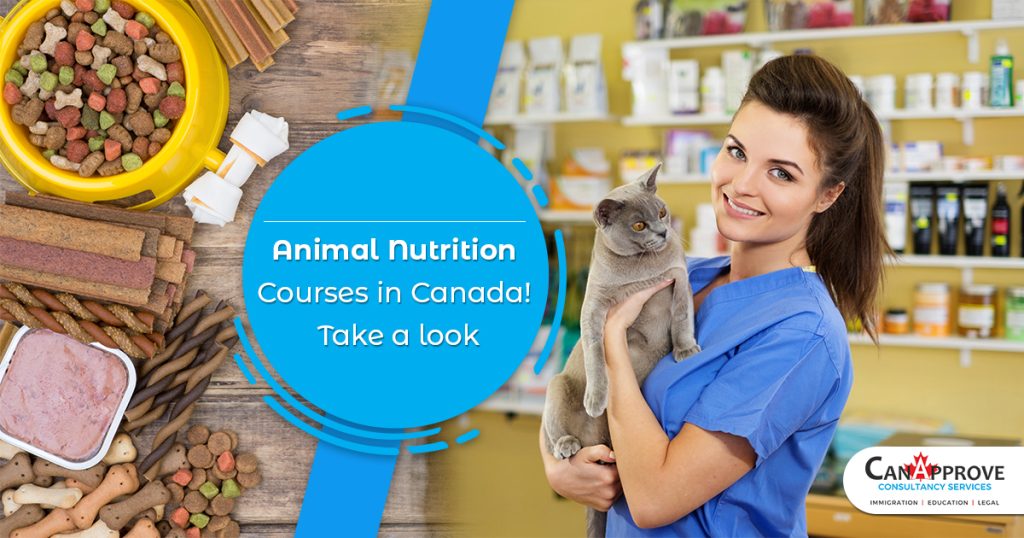 Animal Nutrition Courses in Canada! Take a look