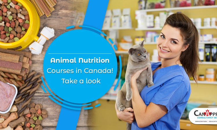 Animal Nutrition Courses in Canada Mar 09