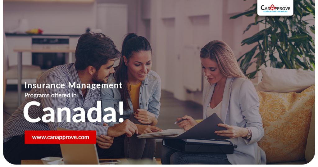 Insurance Management Programs in Canada