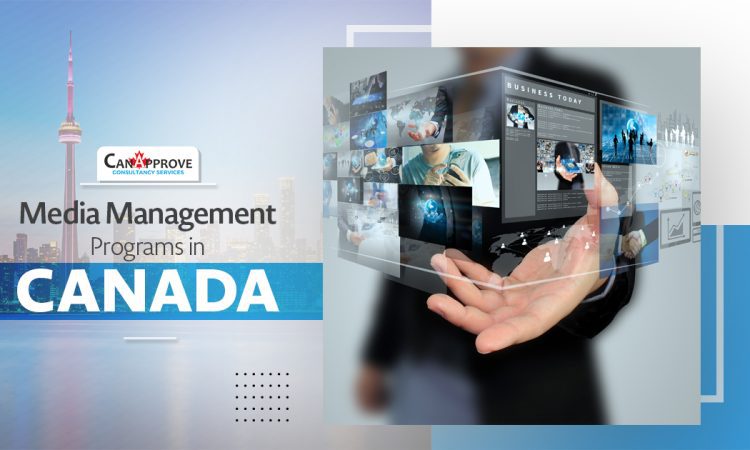 Media Management