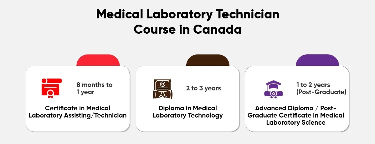 Medical Laboratory Technician Course in Canada