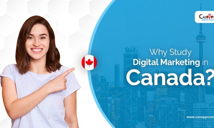 Why Study Digital Marketing in Canada June 27