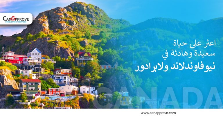 نيوفاوندلاند ولابرادور