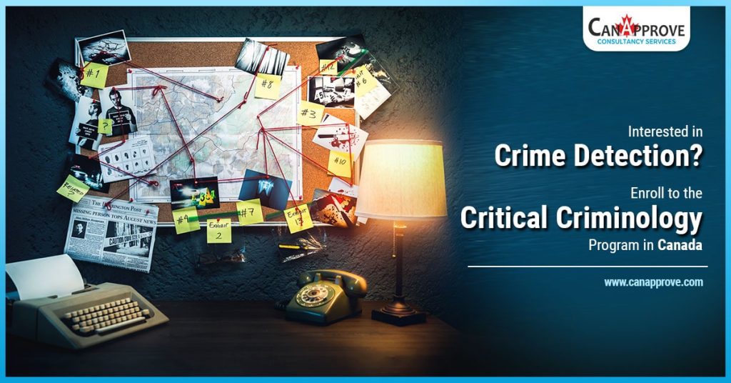 Interested in Crime Detection? Enroll to the Critical Criminology Program in Canada