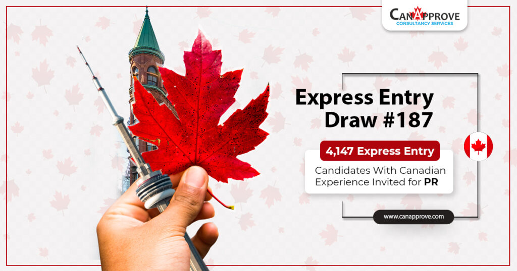 Express Entry Draw 186 | Canada PNP | Canada PR | CanApprove