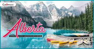 Alberta Express Entry 300