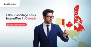 Labour shortage crisis