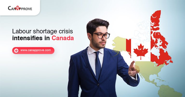 Labour shortage crisis