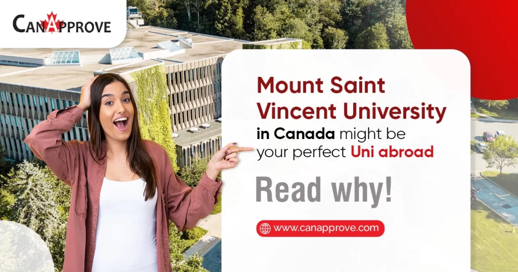 Mount Saint Vincent University in Canada might be your perfect Uni abroad. Read why!