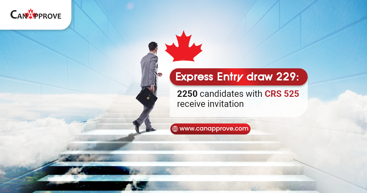 Express Entry Draw 229