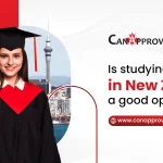 Is studying MBA in New Zealand a good option?