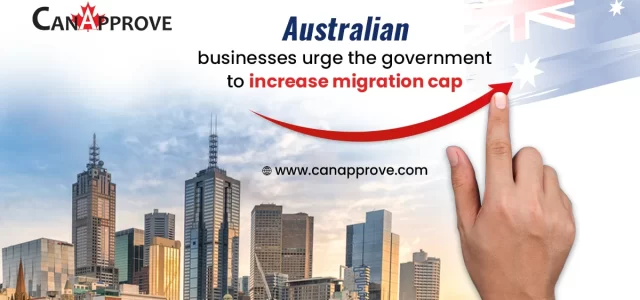 Australian businesses